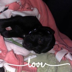 Meet your Posher, Michele